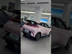 Byd Meagle Pink